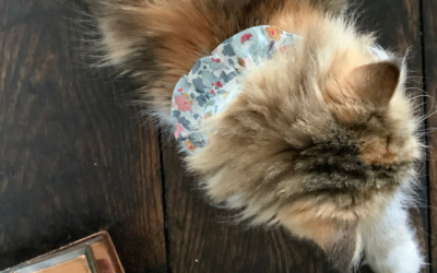 Niksen Wellness at the Office – Be More Like a Cat to Improve Your Work Balance