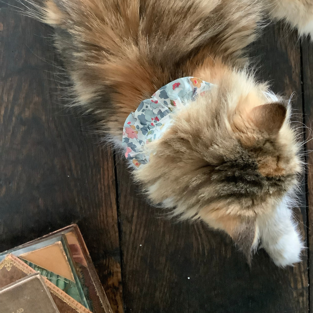 Cat Frill Neckerchief Liberty Betsy