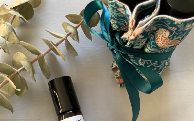 DIY Essential Oil Organizer :: Travel and Handbag :: Easy Pattern