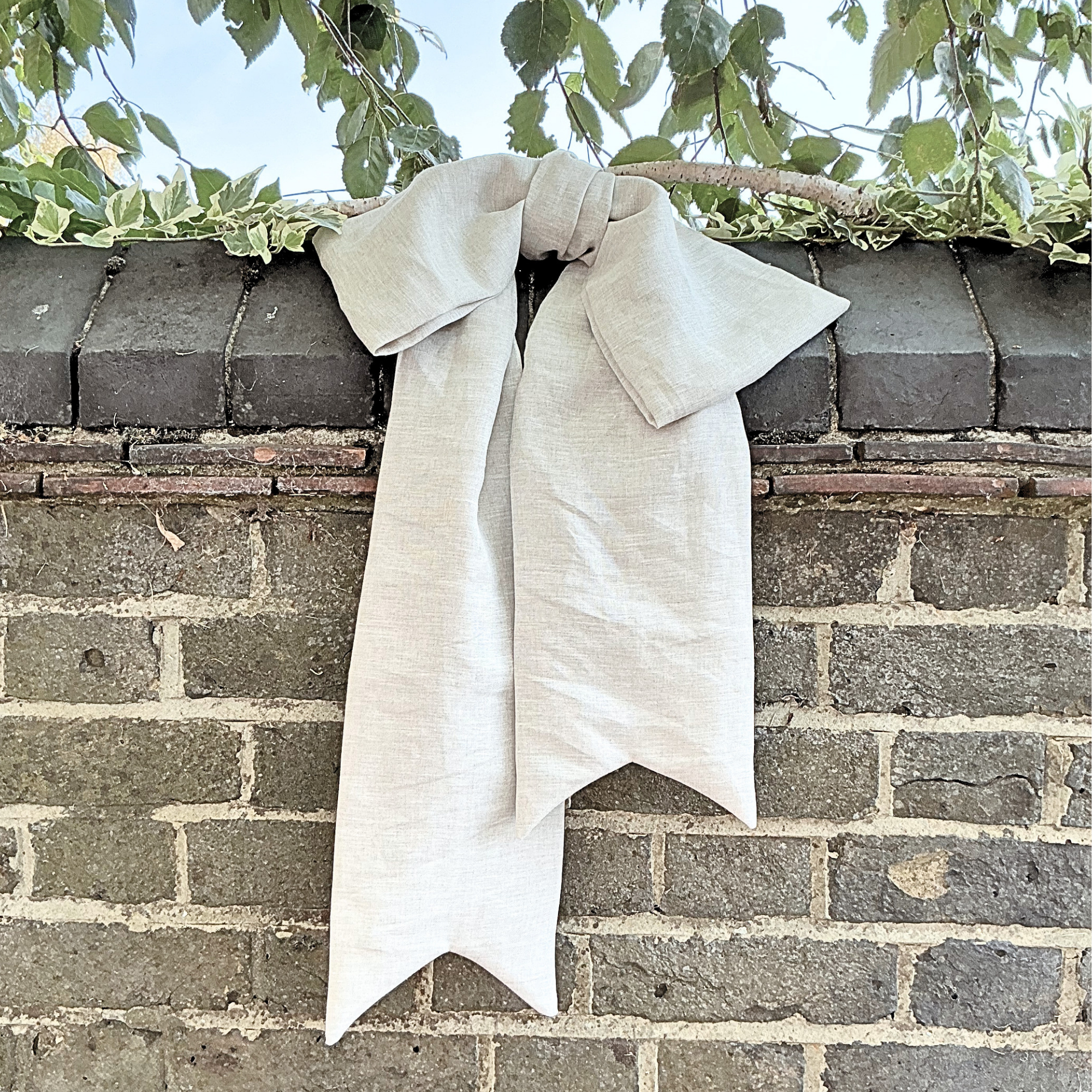 Antoinette Toile de joie embroidery hoop and blue and white stripe